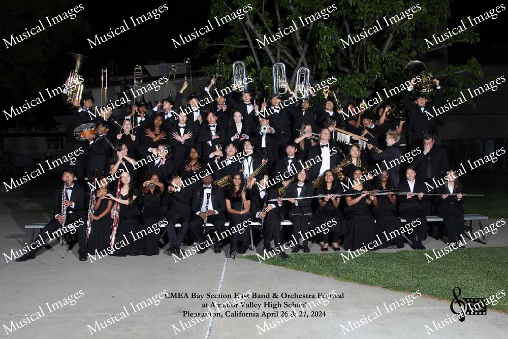 Musical Images